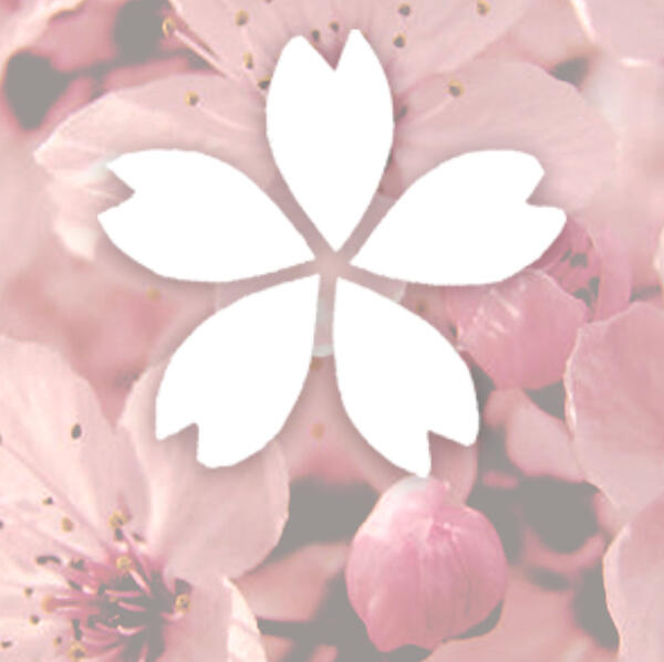 subscribe cherry tier to gain 5% discount